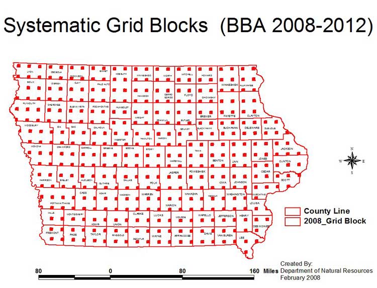 BBA II Grid Blocks