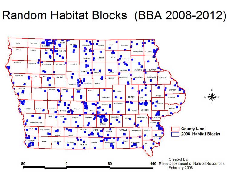 BBA II Habitat Blocks