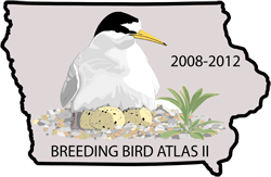Iowa Breeding Bird Atlas